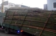 Jak se skládá náklad dřeva z korby náklaďáku na Taiwanu